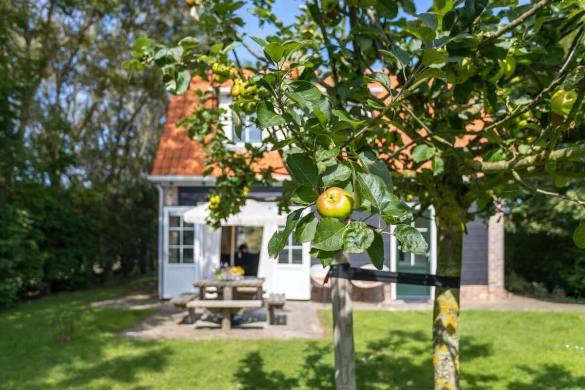 Het Kleine Huis At Buitenplaats Zeeuwse Liefde Westkapelle Eksteriør billede